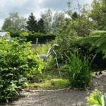 large metal sculpture of praying mantis outdoors