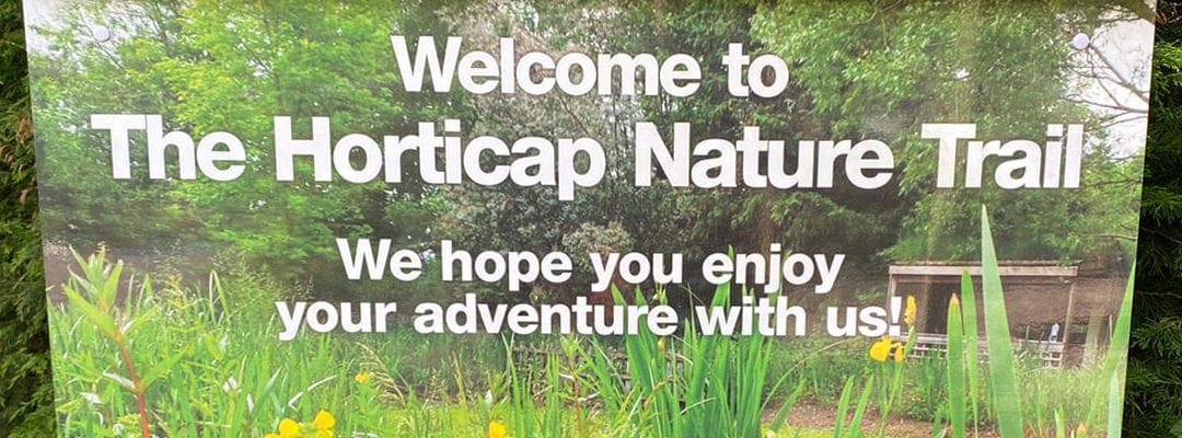Why a Nature Trail Is an Amazing Place for Adults and Children to Learn About the Environment