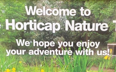 Why a Nature Trail Is an Amazing Place for Adults and Children to Learn About the Environment