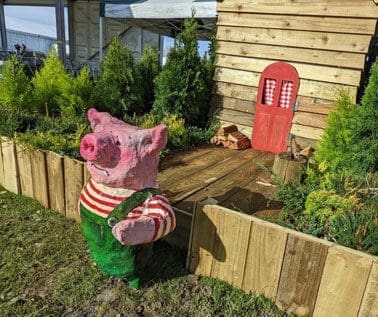 pig