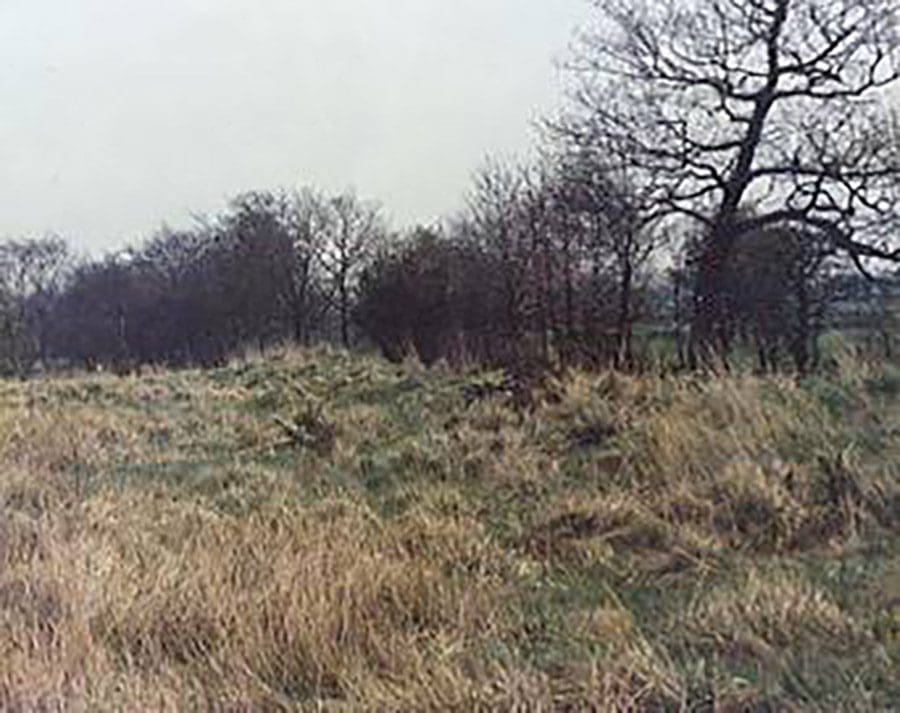 1984 site looking south west