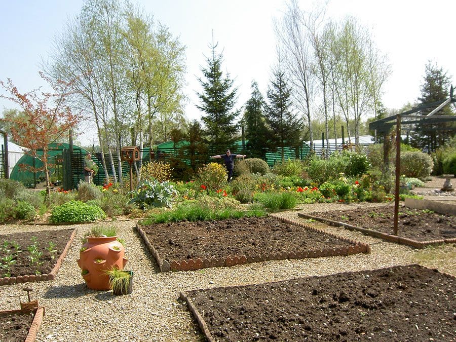 Veg garden 2008