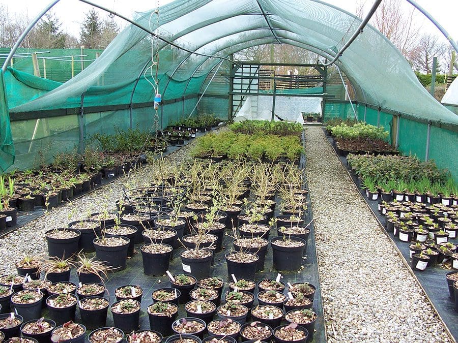 Wind damage to the poly tunnels 2008