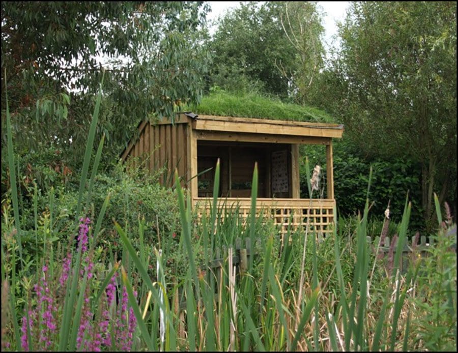 New bird hide 2012